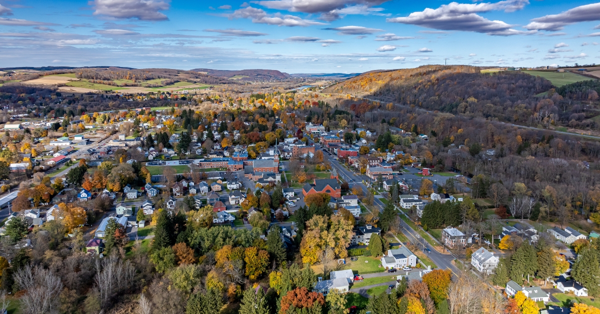 Aerial photo of fall foliage