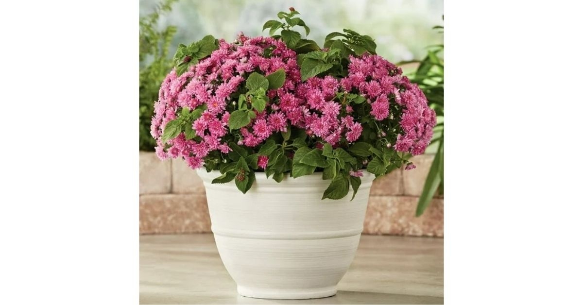 recycled resin planter