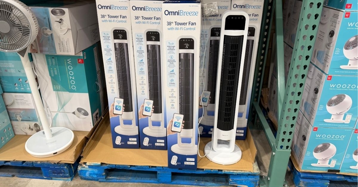omnibreeze tower fan