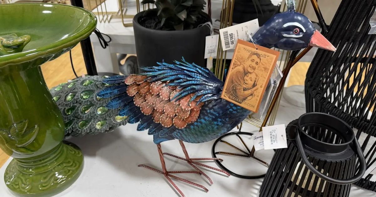 decorative peacock
