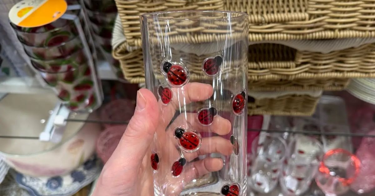 ladybug glasses