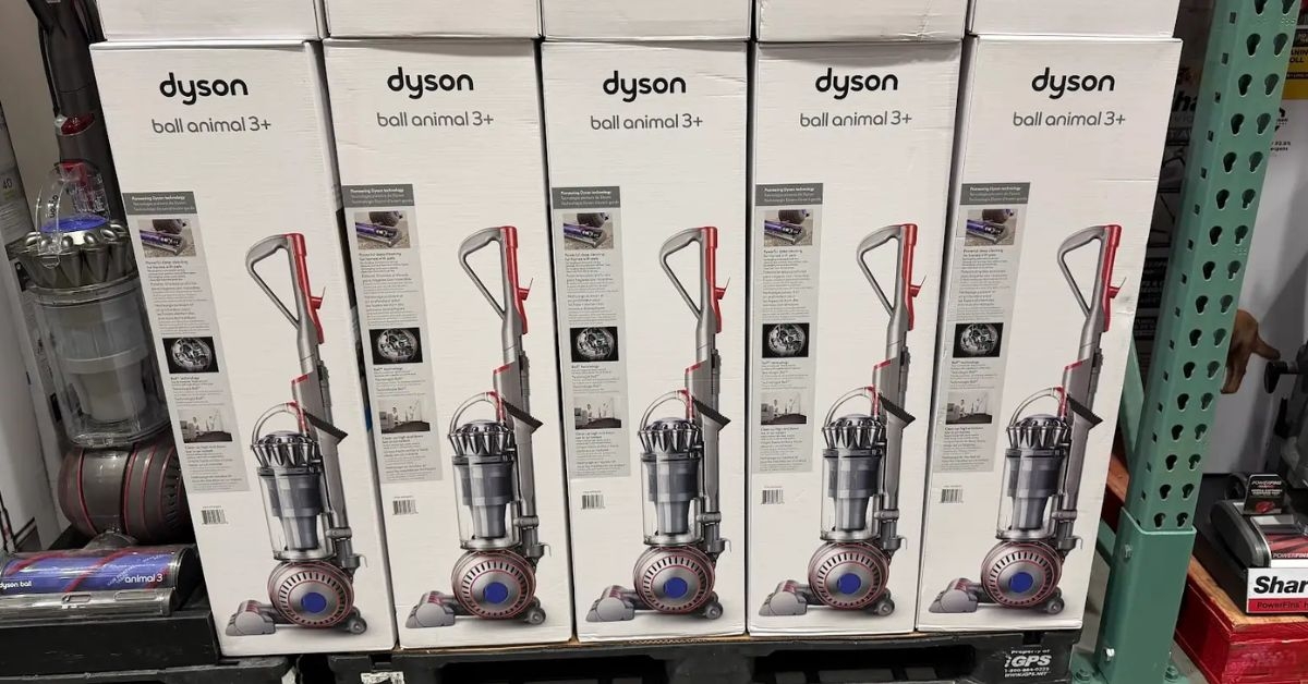 dyson ball animal 3