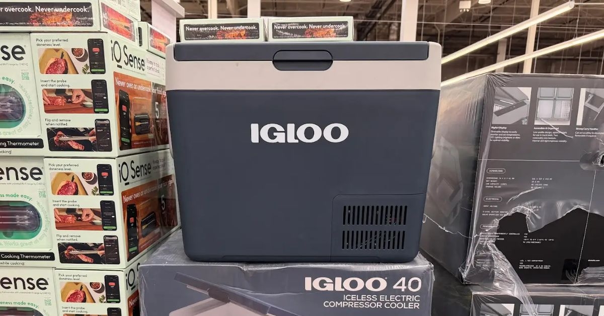 igloo iceless electric cooler