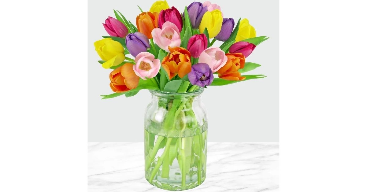 mother's day rainbow tulips