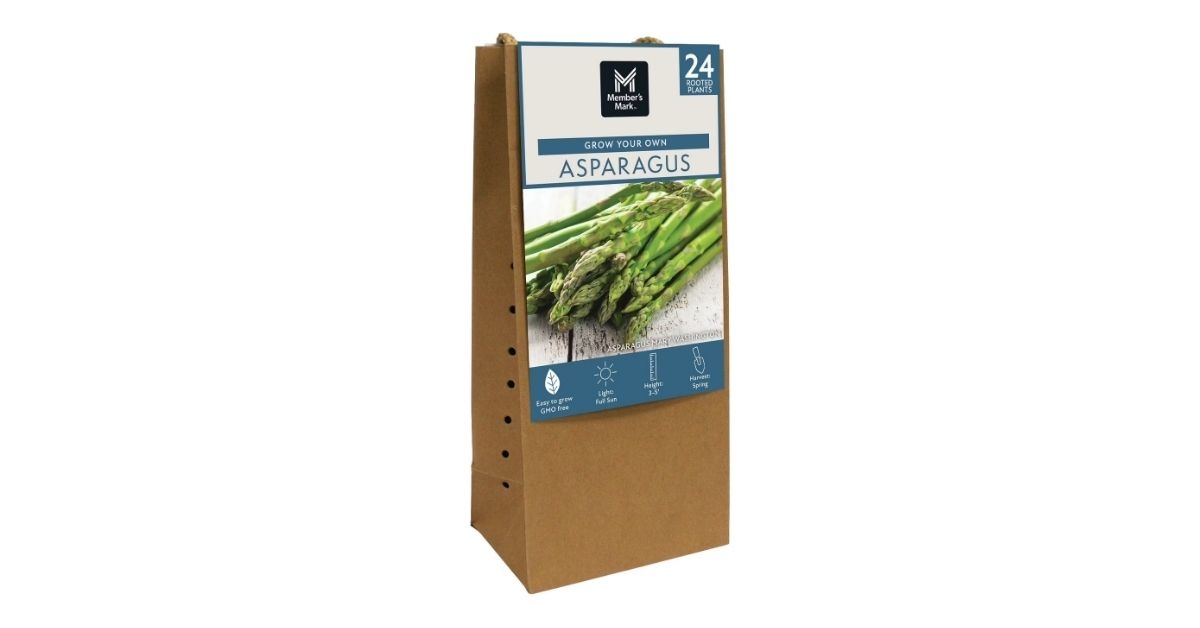 grow your own asparagus