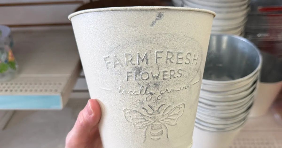 fresh flowers planter pot