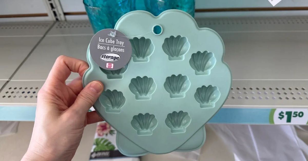 shell ice cube tray