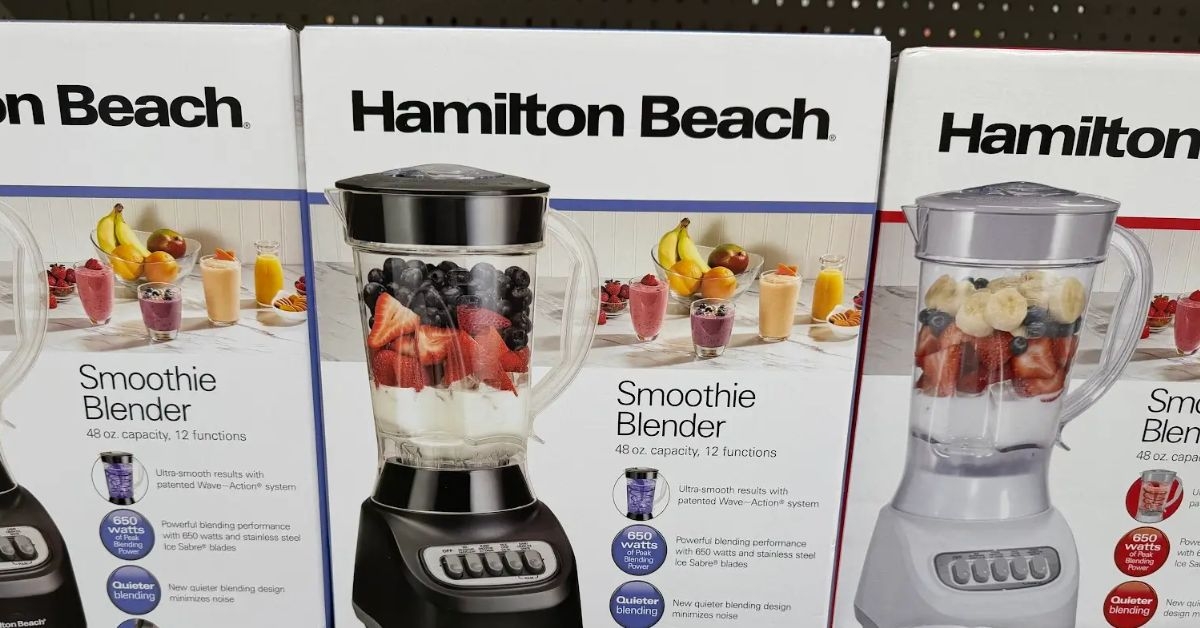 hamilton beach smoothie blender 