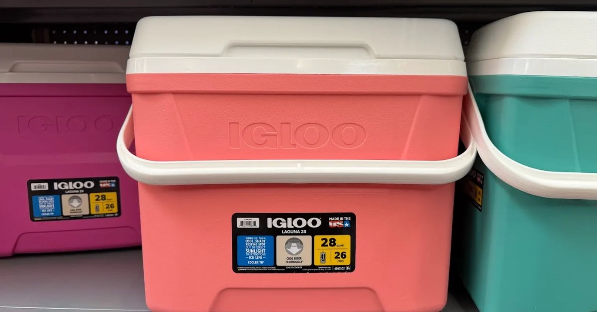 igloo laguna cooler
