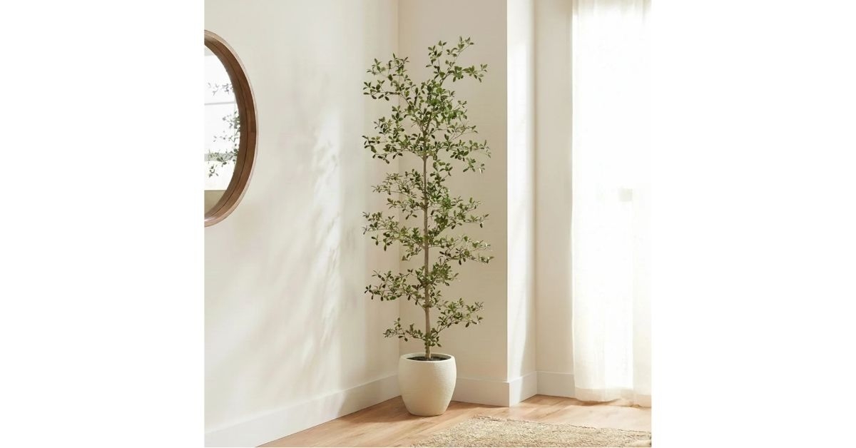 faux black olive tree