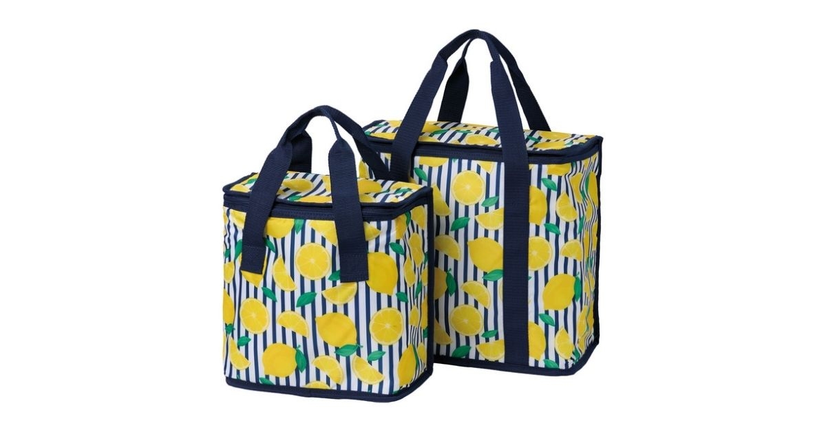 2 piece cooler bag