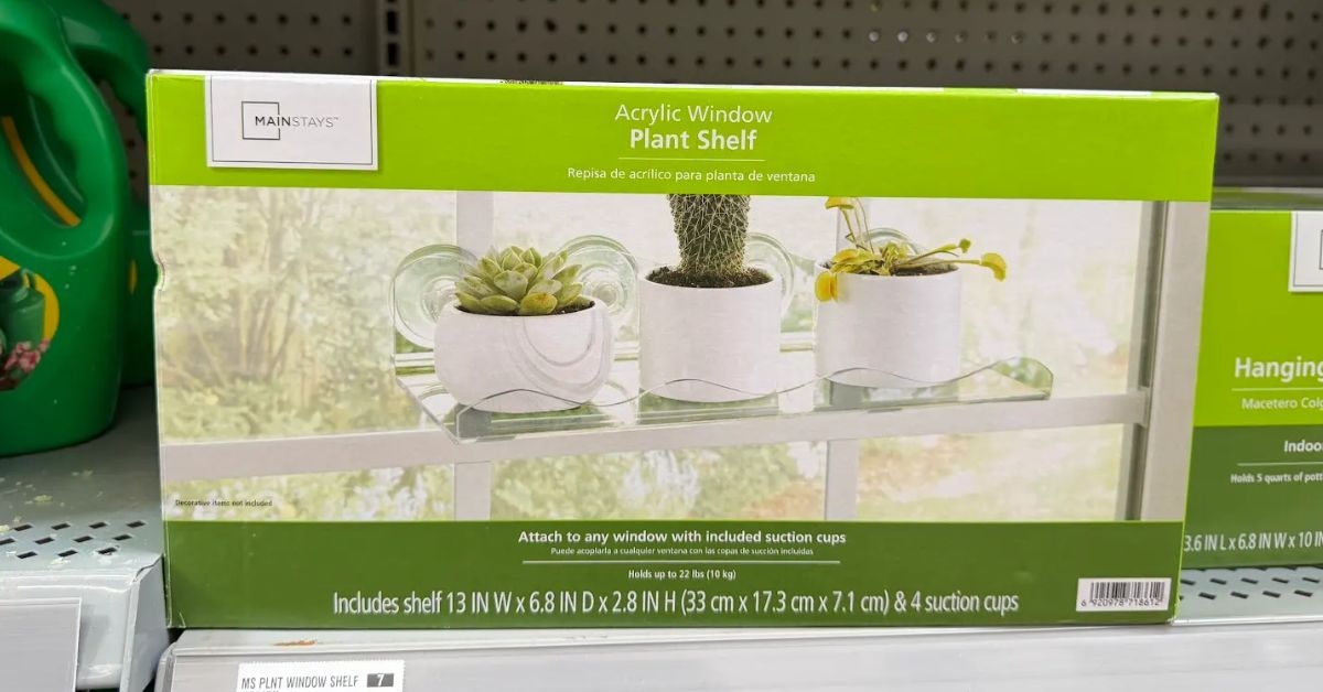 acrylic window plant shelf