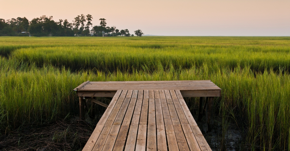 dock on marsh