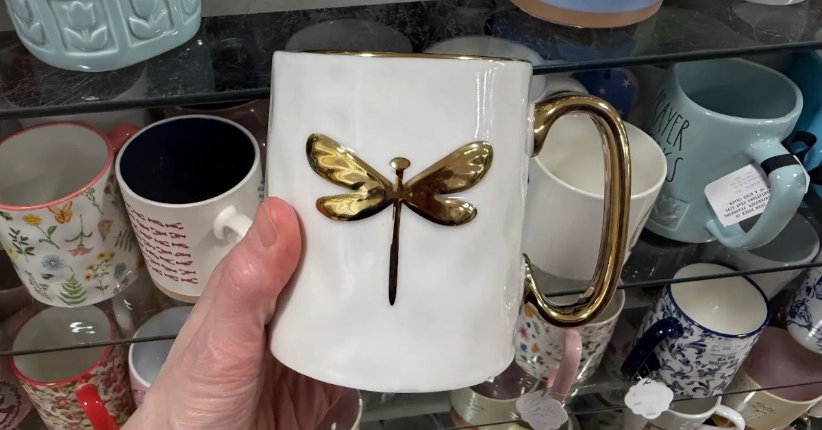 sh home dragonfly mug