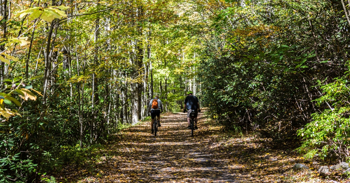 virginia creeper trail