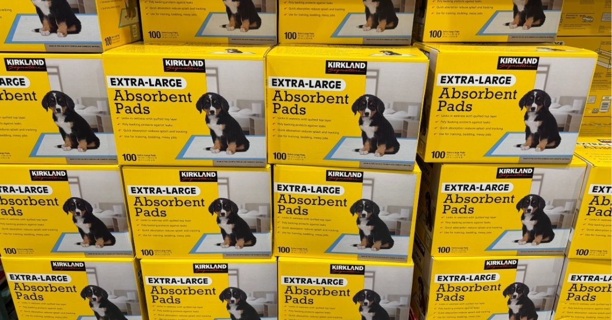 extra-large absorbent puppy pads