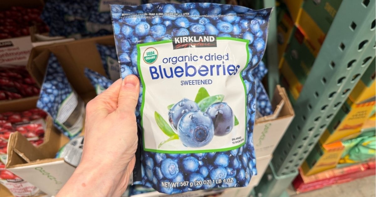 organic dried blueberries