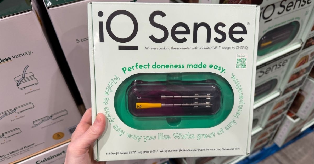 wireless cooking thermometer