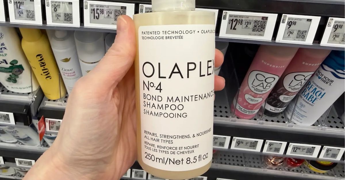 maintenance shampoo