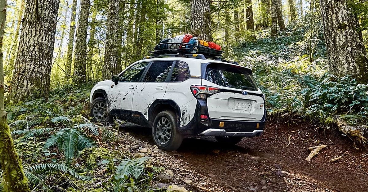 subaru forester