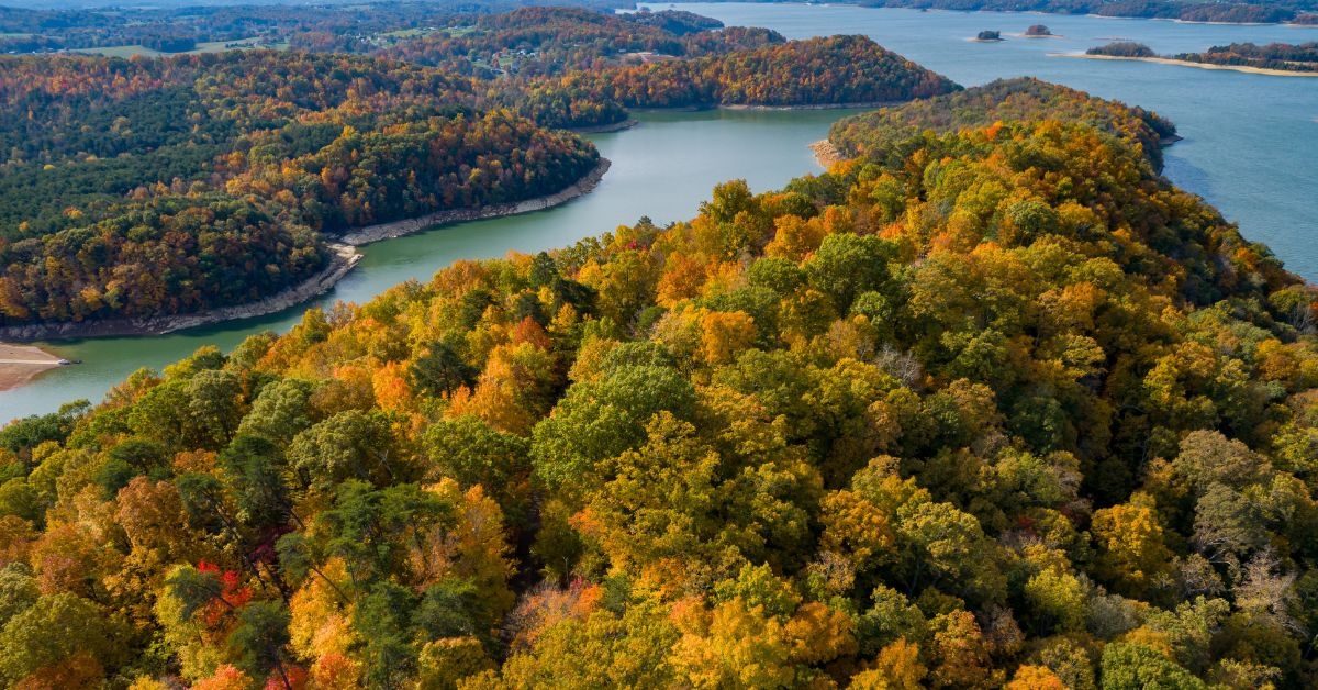 Aerial of Fall Foliage at Panther Creek State Park on Cherokee Lake in Morristown, TN