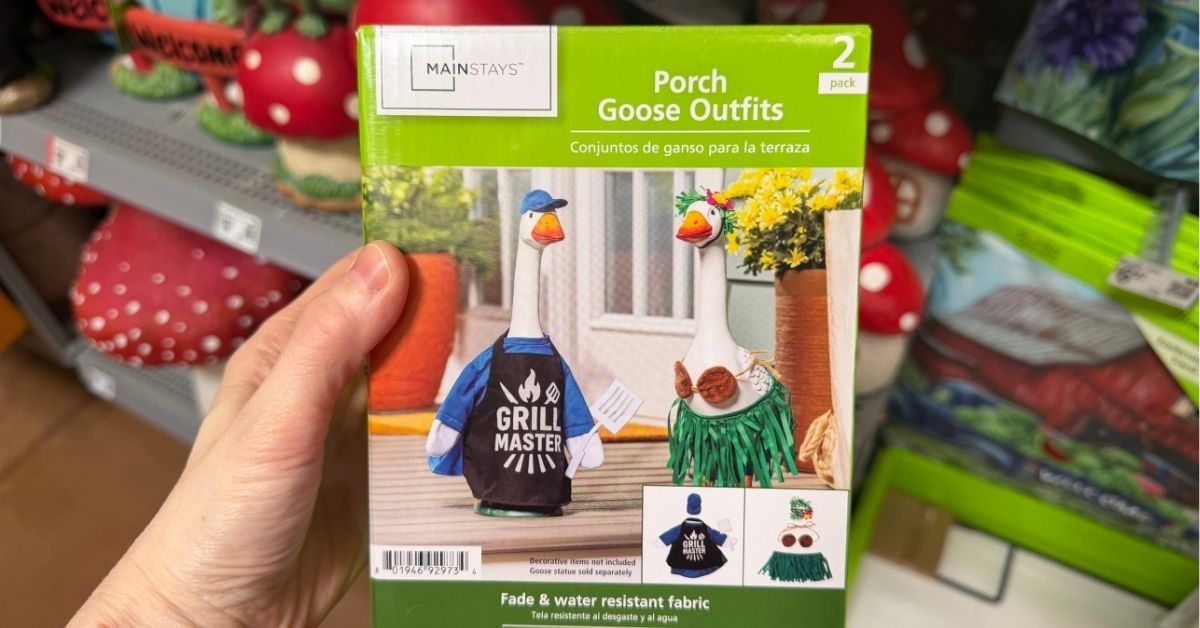 porch goose outfits