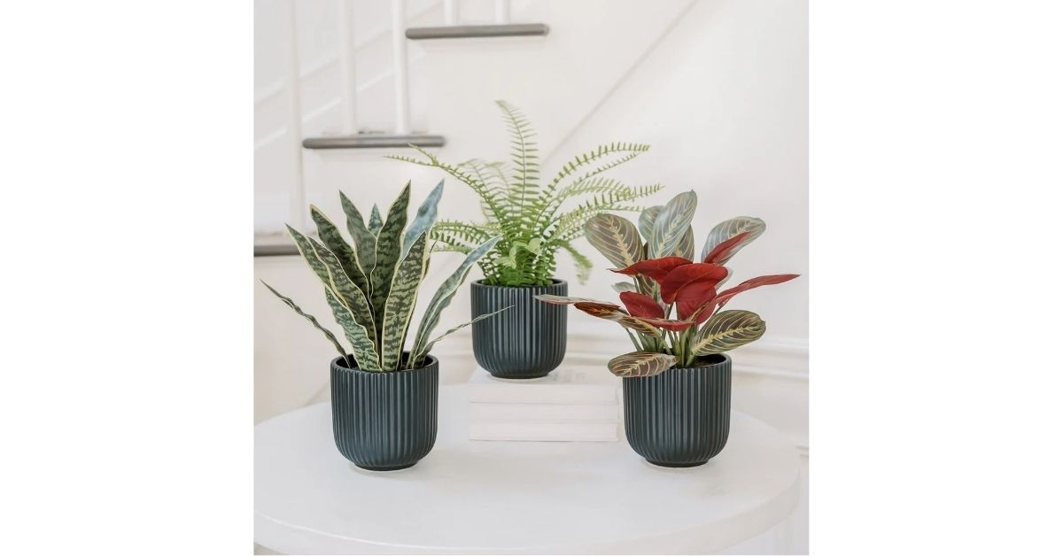 faux decorative plant trio