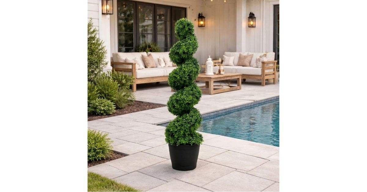 uv resistant spiral boxwood topiary