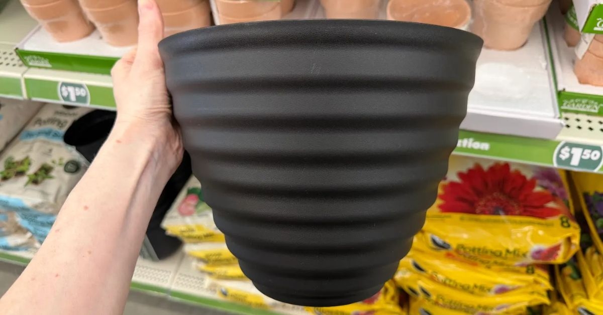 planter pot