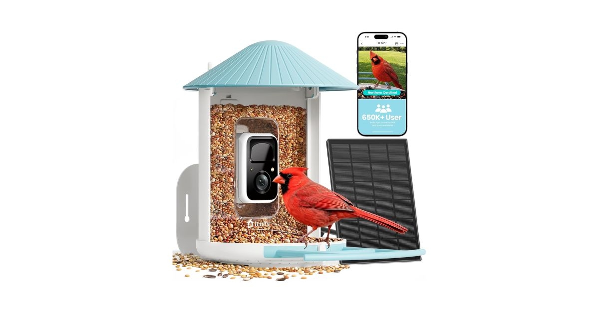 netvuew by birdfy smart bird feeder