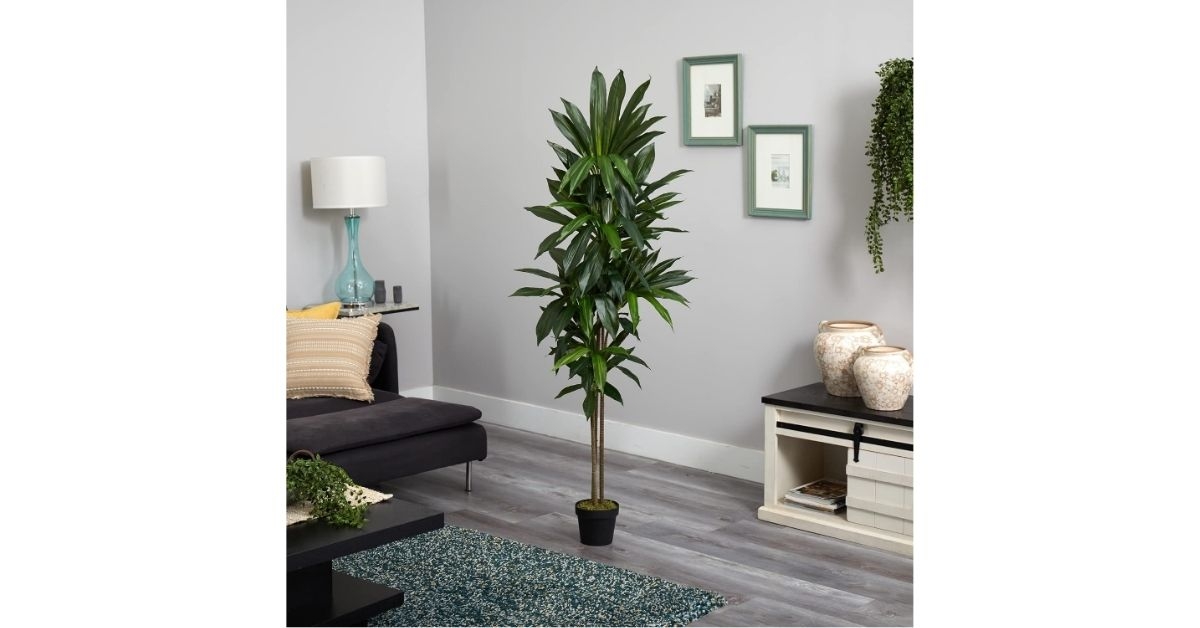 artificial dracaena plant