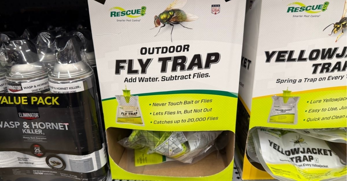 fly trap