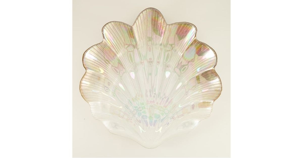 iridiscent shell plate