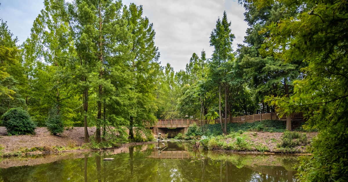 overlooking view of nature in aiken