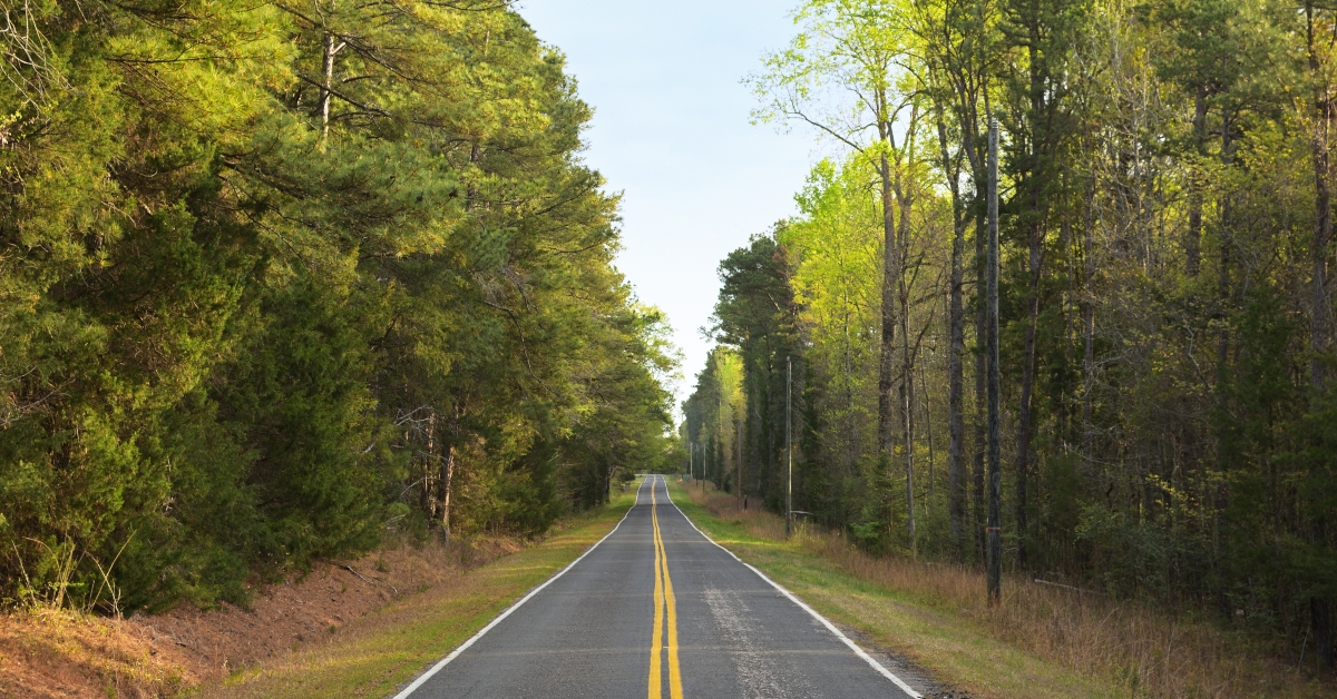 solitary country road