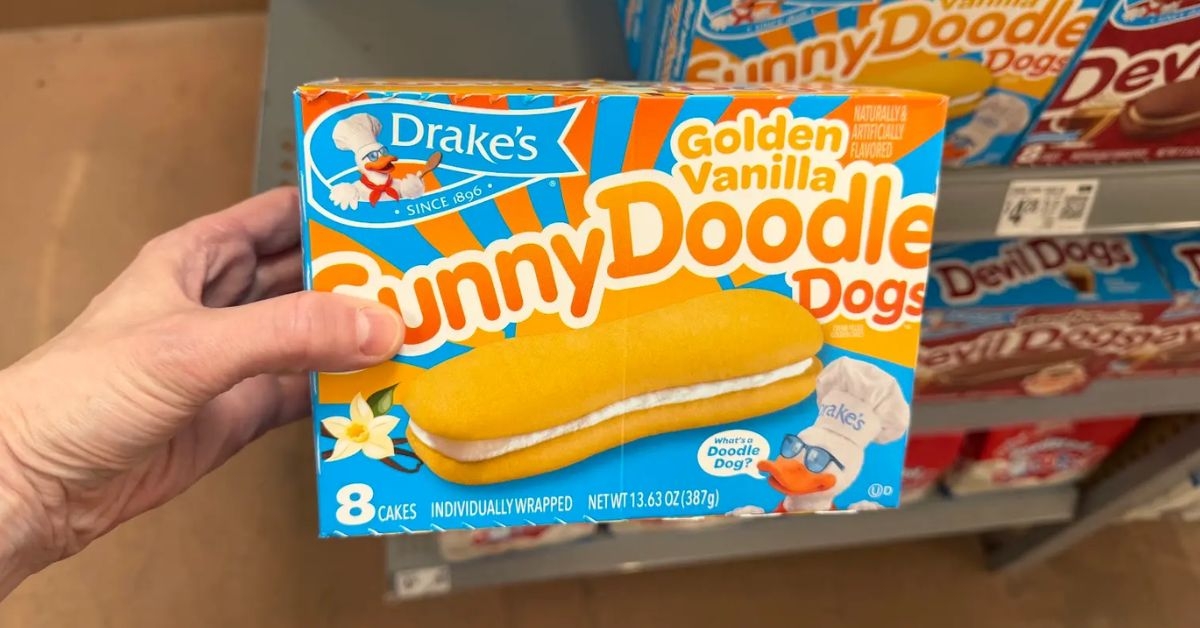 sunny doodle dogs