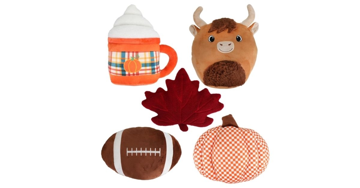 harvest decorative pillow