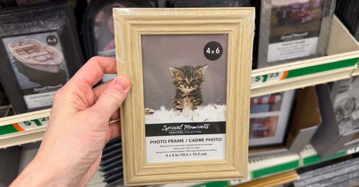 dollar tree special moments photo frame