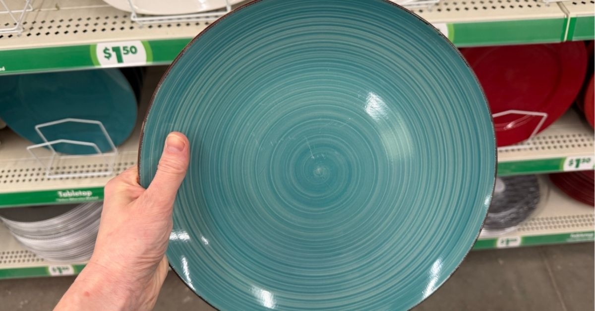 stoneware dinner plate