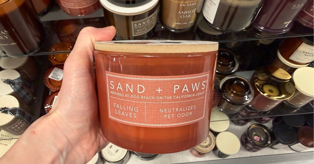 sand paws falling leaves candle