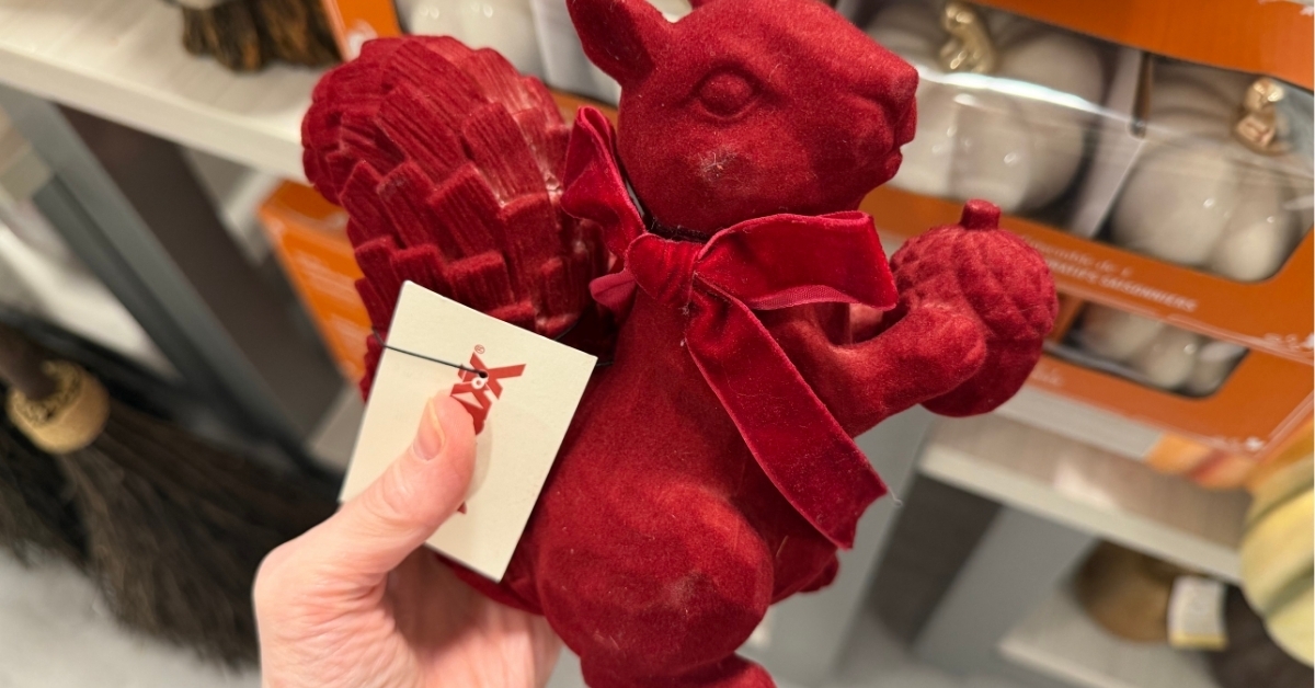 squirrel decor
