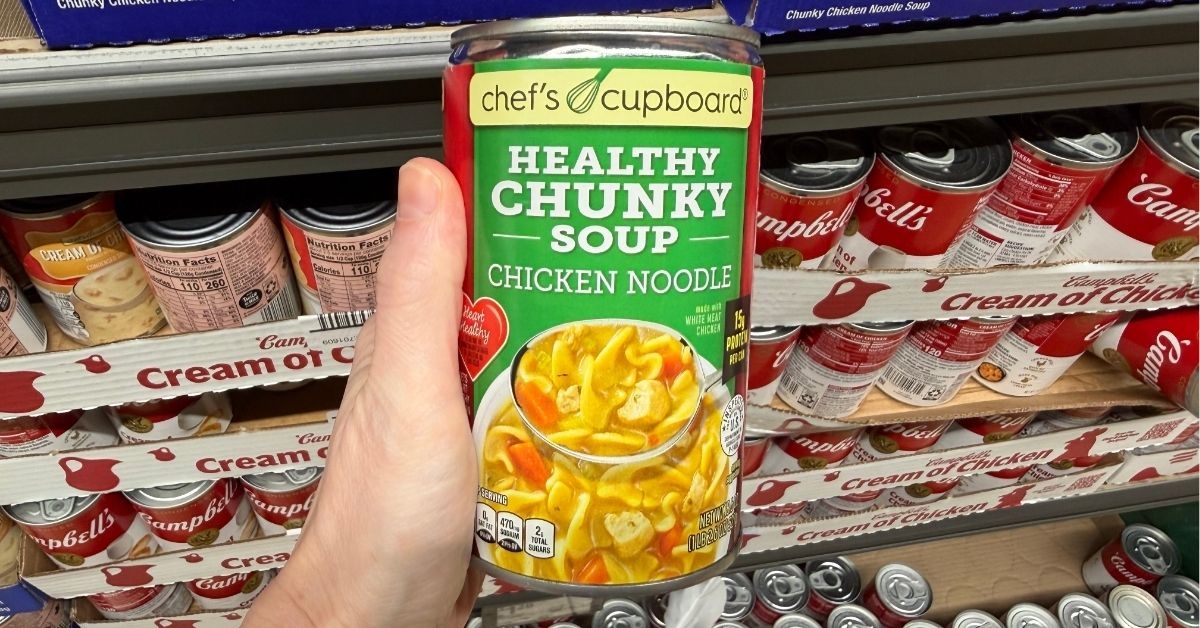 chunky chicken noodle soup