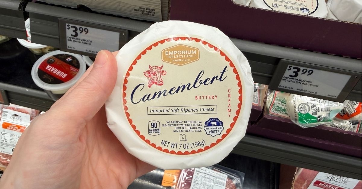 camembert cheese