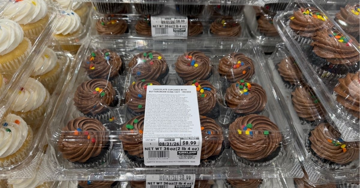 chocolate cupcakes with buttercream icing