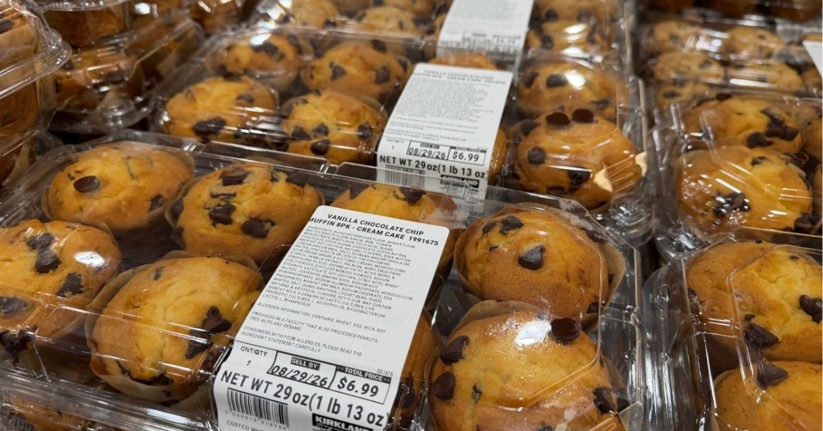 vanilla chocolate chip muffins