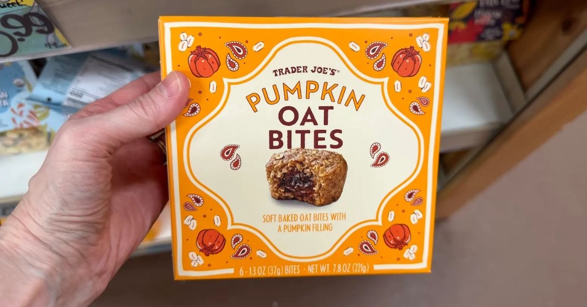 pumpkin oat bites