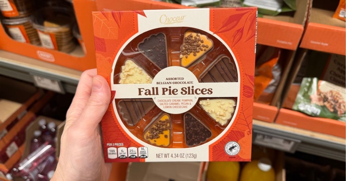 chocolate fall pie slices