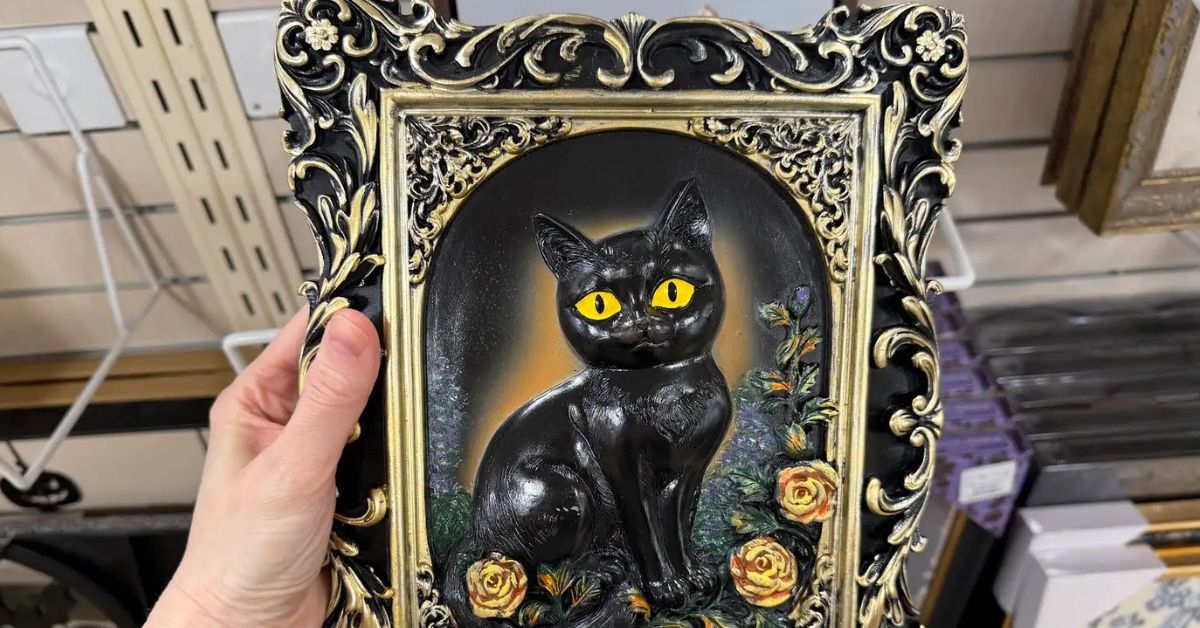 black cat art