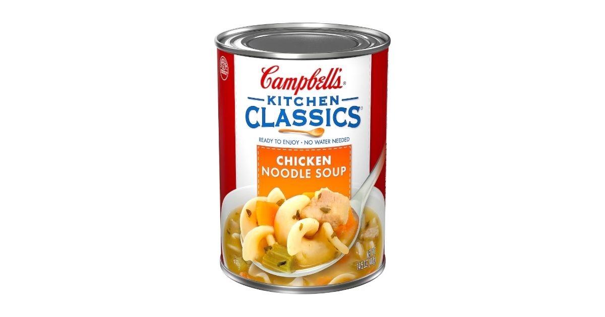 chicken noodle soup