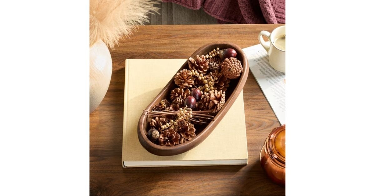 natural pinecone acorn